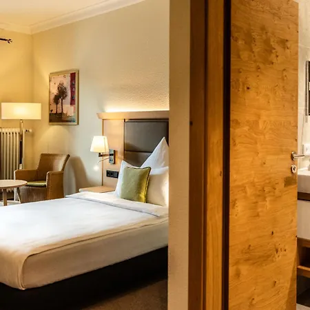 호텔 아이프제 그라이나우